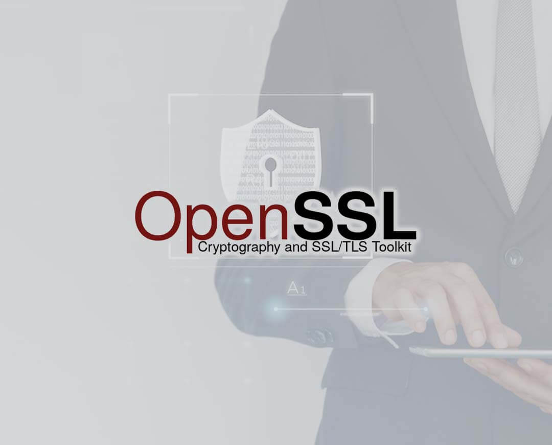 High-Severity DoS Vulnerability Patched in OpenSSL