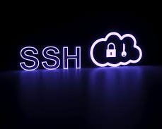 Exploited SSH Servers Offered in the Dark web as Proxy Pools