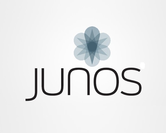 Four Juniper Junos OS flaws can be chained to remotely hack devices