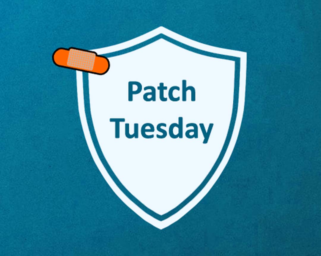 Microsoft December 2022 Patch Tuesday fixes 2 zero-days, 49 flaws
