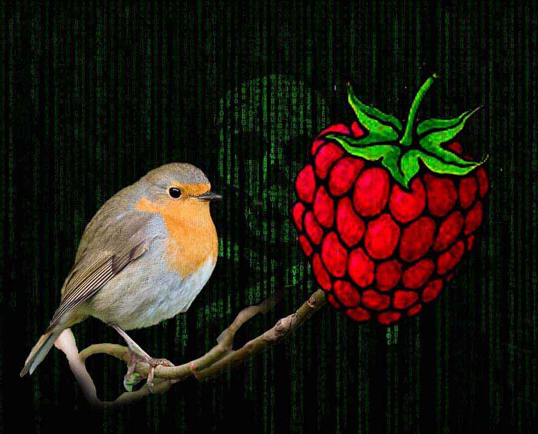Raspberry Robin Microsoft warns about high-risk worm infecting lots of Windows networks