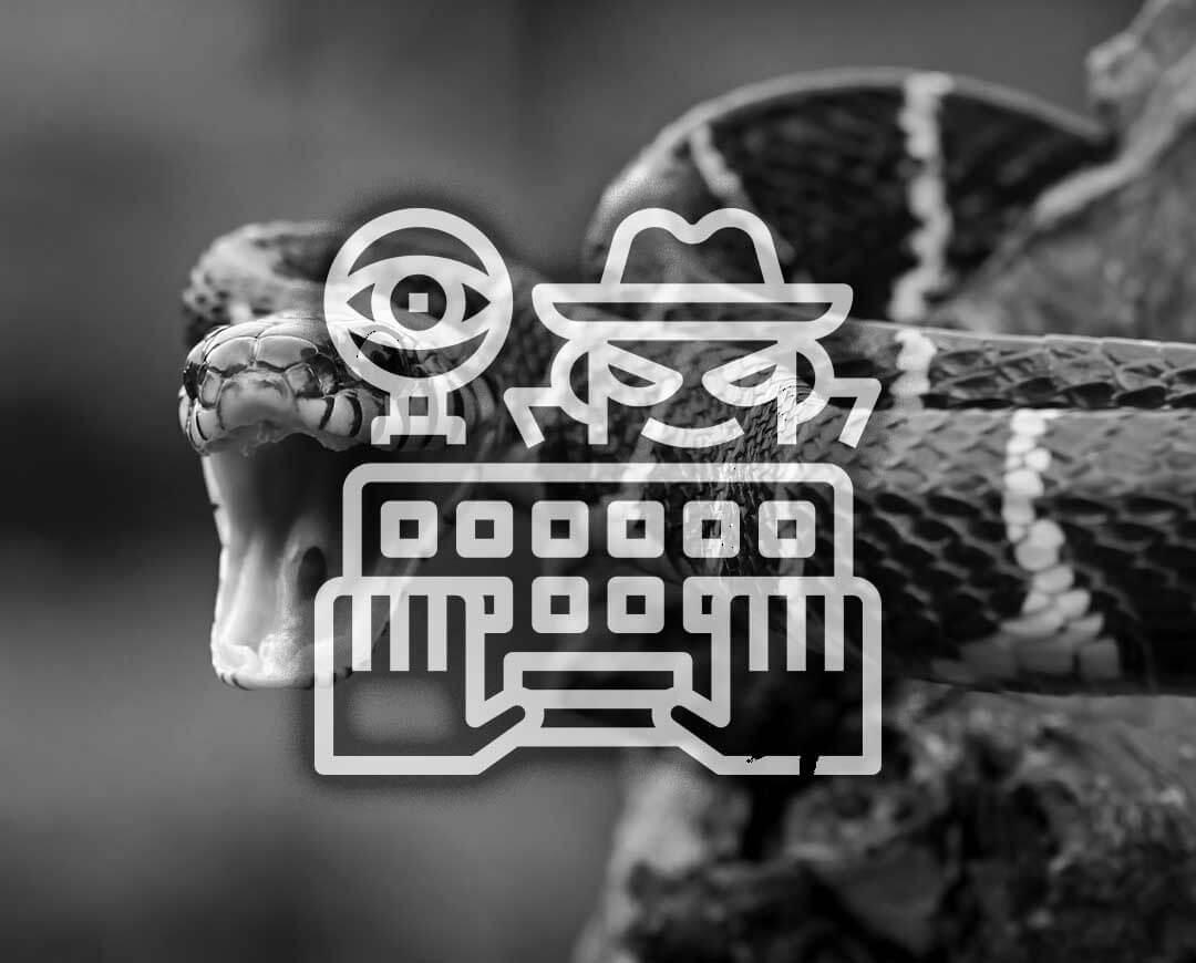 Snake Keylogger Spreads Through Malicious PDFs