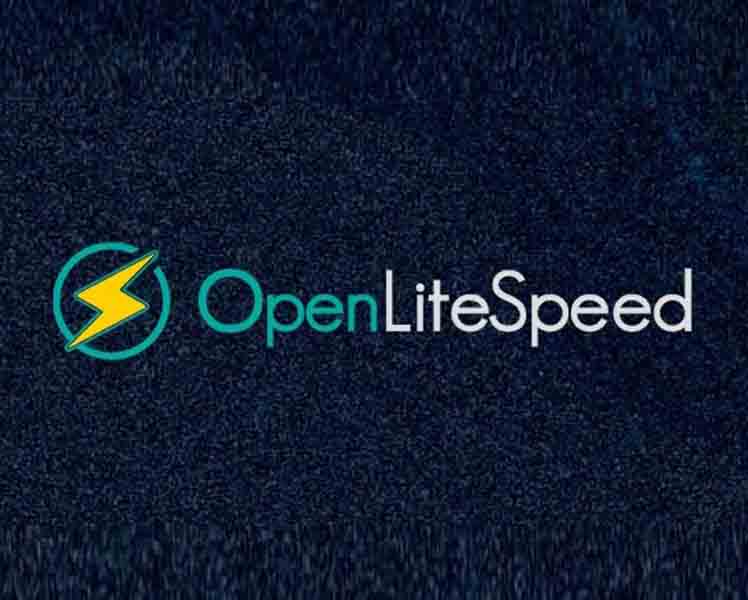 Unit 42 Finds Three Vulnerabilities in OpenLiteSpeed Web Server