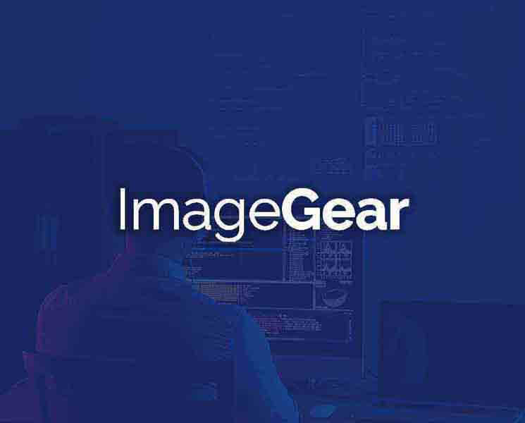 Vulnerability Spotlight Two vulnerabilities in Accusoft ImageGear could lead to DoS, arbitrary free